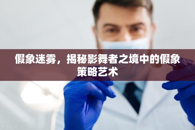 揭秘影舞者之境，假象迷霧中的策略藝術(shù)