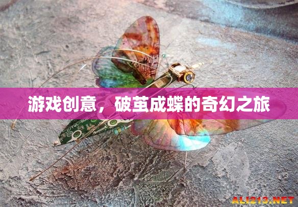 破繭成蝶，一場奇幻的冒險游戲之旅