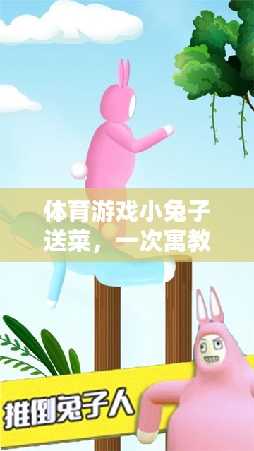 小兔子送菜，一次寓教于樂的體育游戲反思之旅