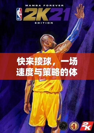 速度與策略的碰撞，一場(chǎng)令人熱血沸騰的接球體育游戲盛宴