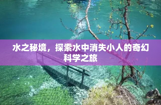 探索水之秘境，揭秘水中消失小人的奇幻科學之旅