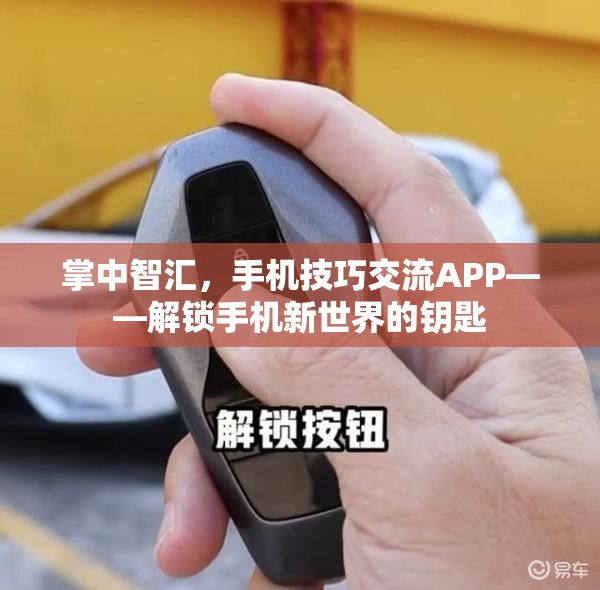 解鎖手機新世界的鑰匙，掌中智匯手機技巧交流APP