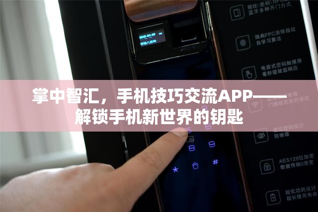 解鎖手機新世界的鑰匙，掌中智匯手機技巧交流APP