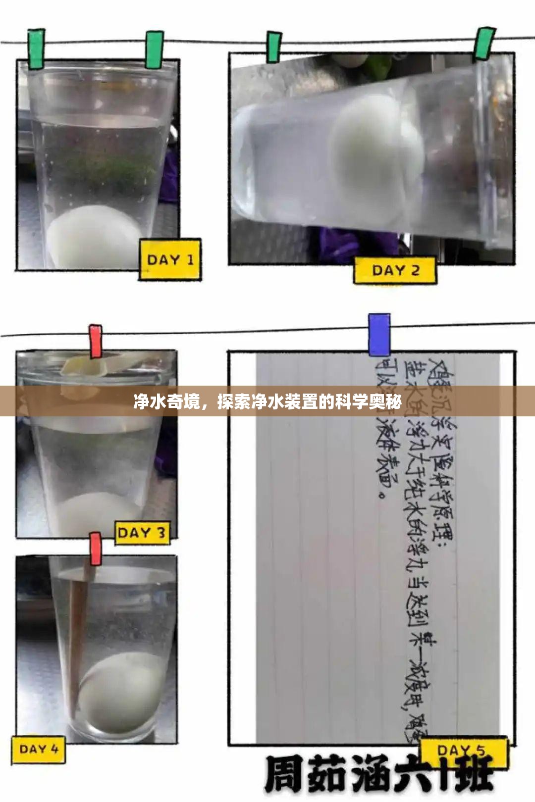 凈水奇境，揭秘凈水裝置的科學(xué)奧秘