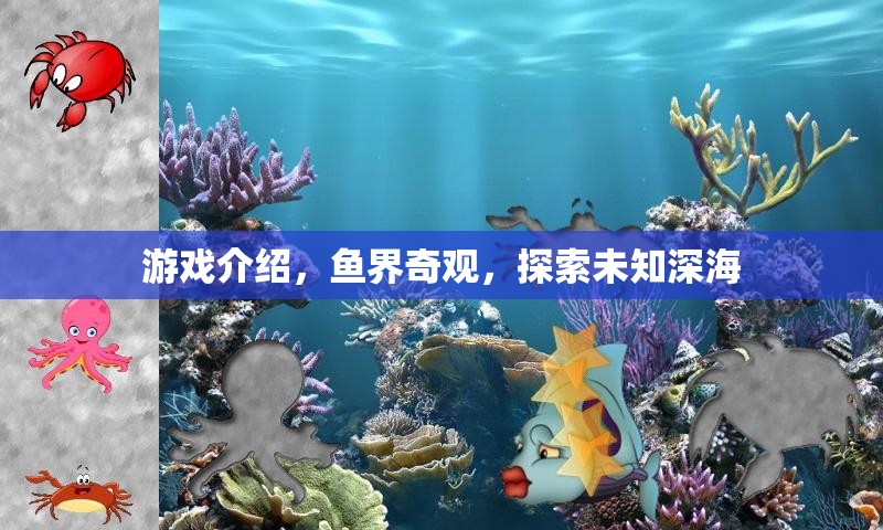 深海奇緣，探索未知的魚界奇觀