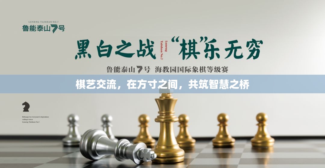 方寸之間，共筑智慧之橋，棋藝交流的魅力