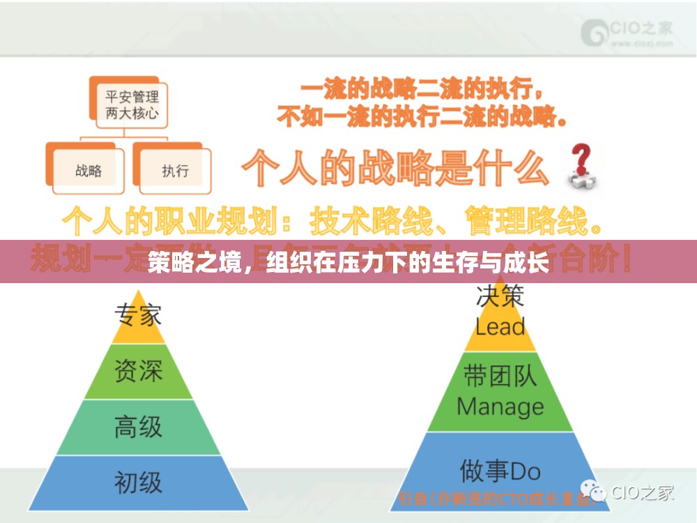 策略之境，組織在壓力下的生存與成長