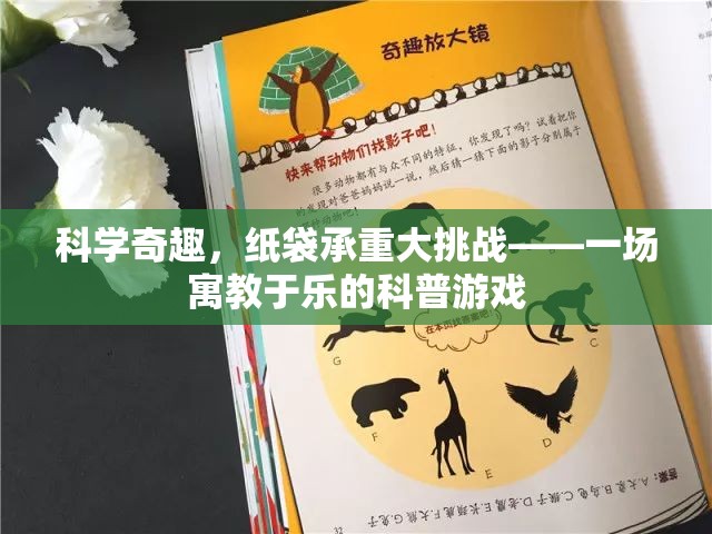 紙袋承重大挑戰(zhàn)，寓教于樂(lè)的科普游戲