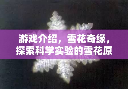 探索雪花之美，揭秘雪花奇緣中的科學(xué)實(shí)驗(yàn)