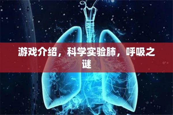 游戲介紹，科學(xué)實驗肺，呼吸之謎