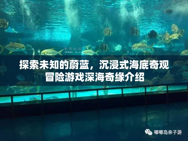 深海奇緣，探索未知的蔚藍，沉浸式海底奇觀冒險之旅