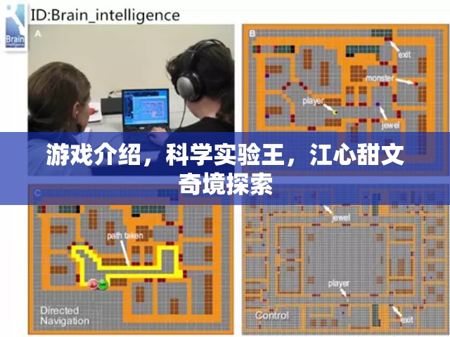 科學(xué)實(shí)驗(yàn)王，江心甜與文奇境的奇幻探索之旅