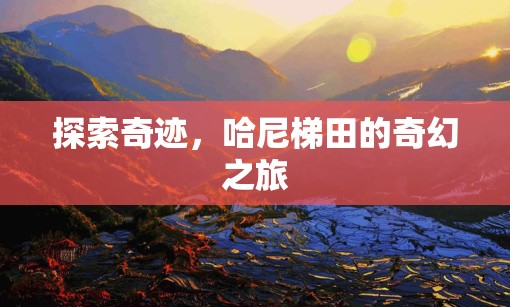 哈尼梯田，探索奇跡的奇幻之旅