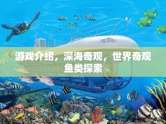 探索深海奇觀，揭秘世界奇觀魚類