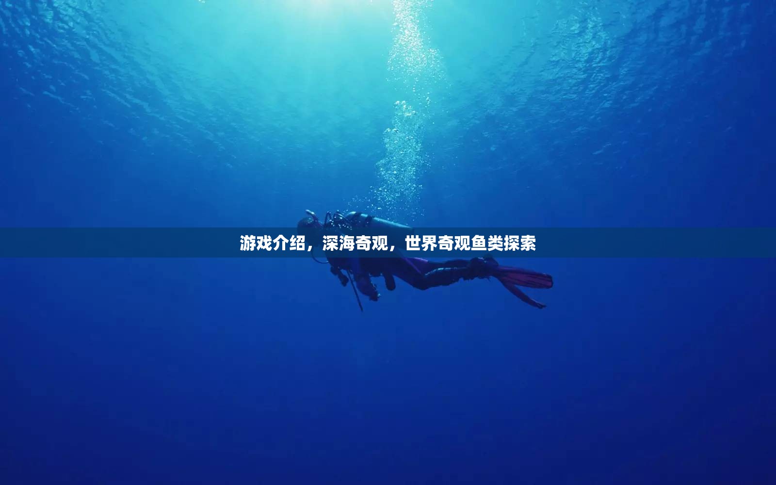 探索深海奇觀，揭秘世界奇觀魚類