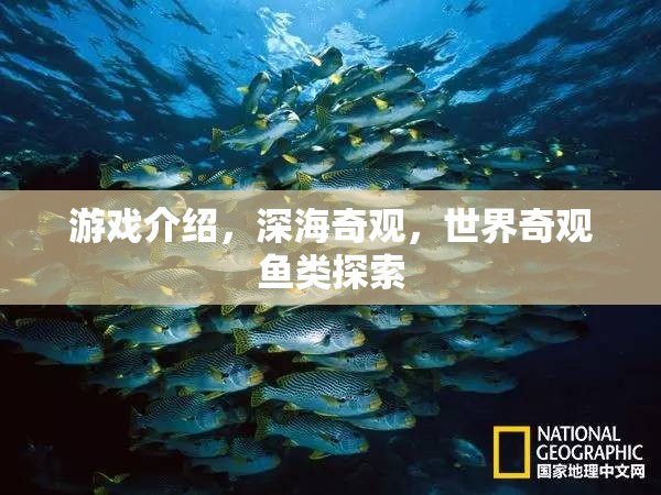 探索深海奇觀，揭秘世界奇觀魚類