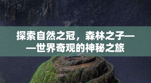 森林之子，探索自然之冠的神秘之旅