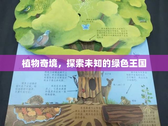 探索未知的綠色王國，植物奇境的奧秘之旅