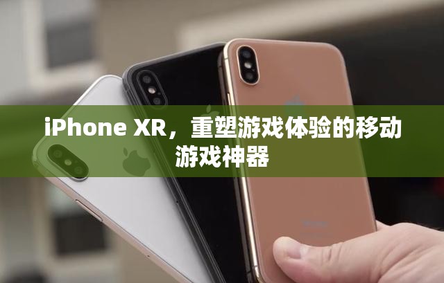 iPhone XR，重塑移動游戲體驗的科技新寵