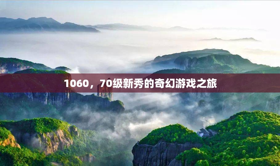 1060，70級(jí)新秀的奇幻游戲之旅  第1張