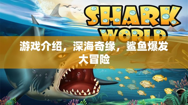 深海奇緣，鯊魚爆發(fā)大冒險