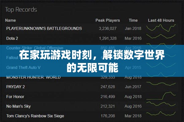 解鎖數(shù)字世界的無限可能，在家游戲時光的奇妙之旅
