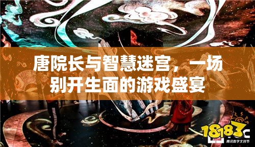 唐院長(zhǎng)與智慧迷宮，一場(chǎng)別開生面的游戲盛宴