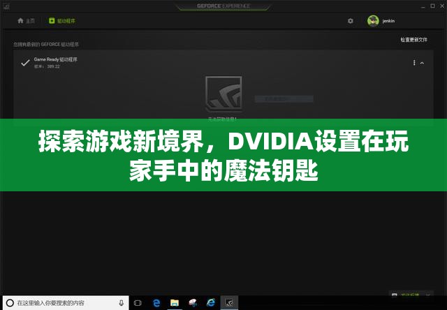 探索游戲新境界，DVIDIA——玩家手中的魔法鑰匙