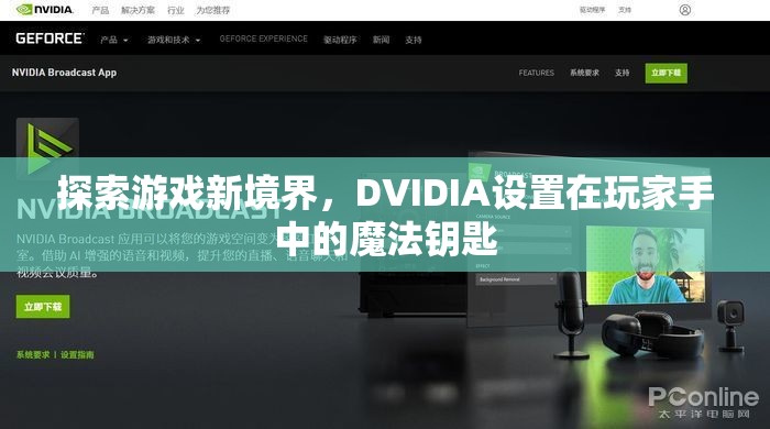 探索游戲新境界，DVIDIA——玩家手中的魔法鑰匙