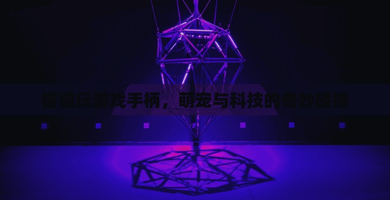萌寵與科技的奇妙碰撞，貓貓玩游戲手柄的樂(lè)趣
