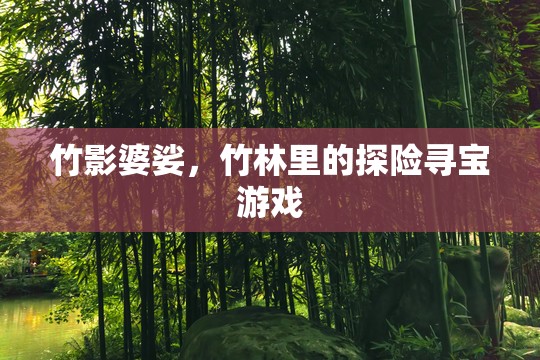 竹林秘境，一場(chǎng)尋寶與自然的奇妙探險(xiǎn)