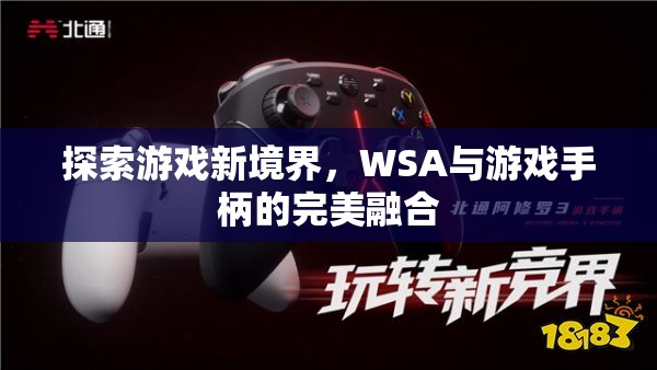 WSA與游戲手柄，探索游戲新境界的完美融合