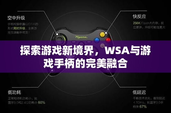 WSA與游戲手柄，探索游戲新境界的完美融合