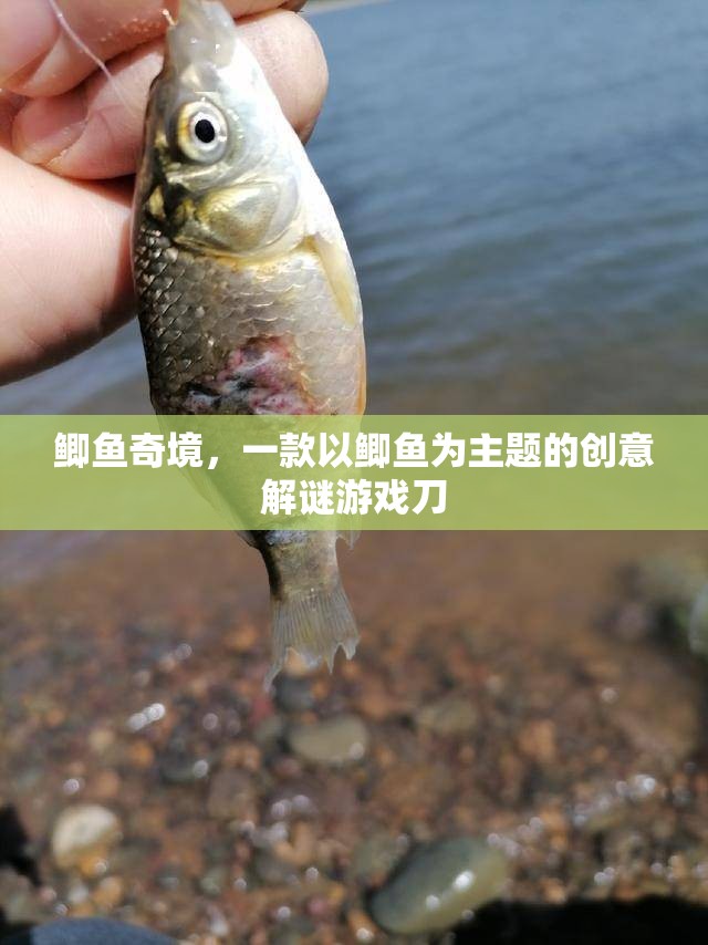 鯽魚奇境，探索鯽魚世界的創(chuàng)意解謎冒險(xiǎn)