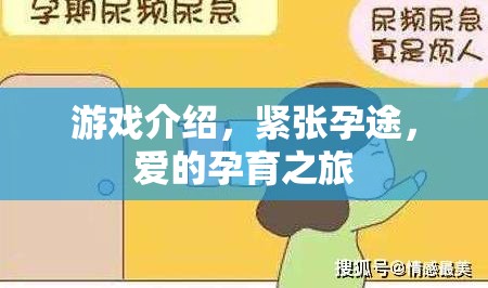 愛(ài)的孕育之旅，緊張?jiān)型镜钠婷钣螒? 第3張