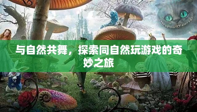 與自然共舞，探索同自然互動(dòng)的奇妙之旅  第3張