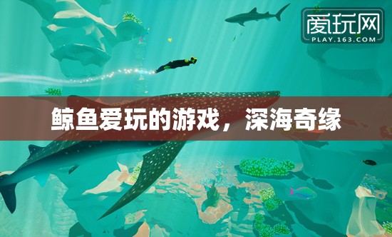 深海奇緣，鯨魚的夢幻游戲