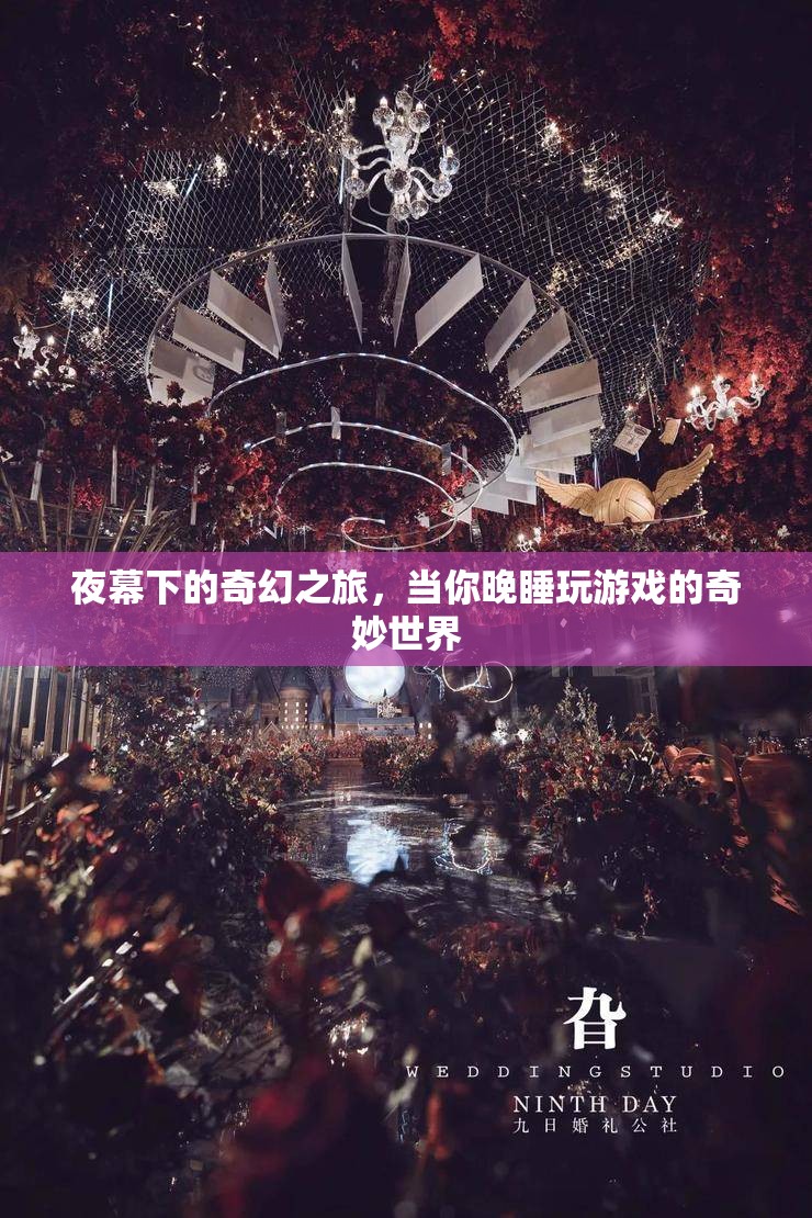 夜幕下的奇幻之旅，晚睡游戲中的奇妙世界  第1張