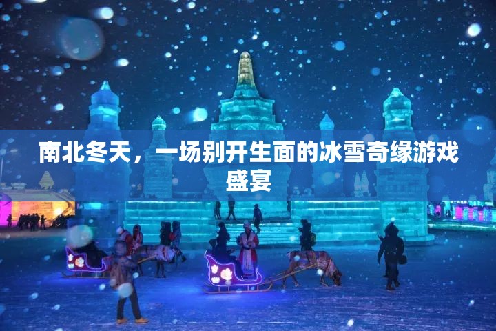 冰雪奇緣，南北冬天的游戲盛宴