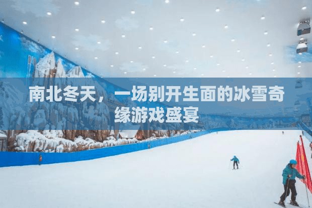 冰雪奇緣，南北冬天的游戲盛宴