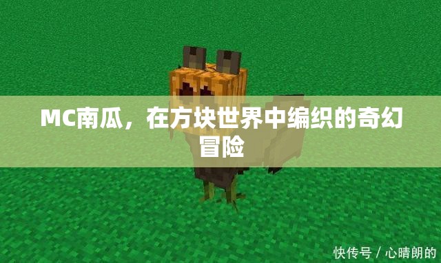 MC南瓜，在方塊世界中編織的奇幻冒險