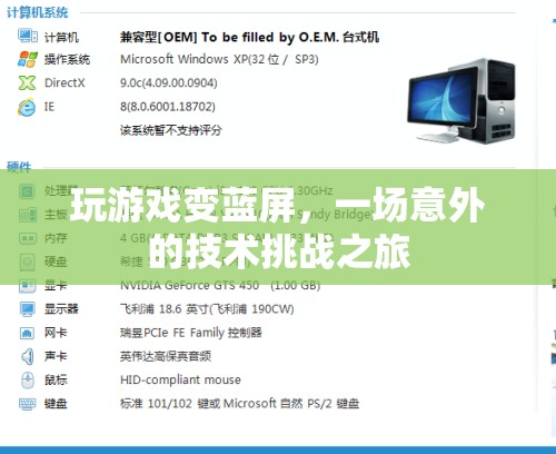 游戲藍(lán)屏，一場(chǎng)意外的技術(shù)挑戰(zhàn)之旅
