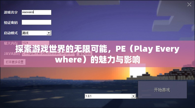 PE（Play Everywhere）的魅力與影響，探索游戲世界的無限可能