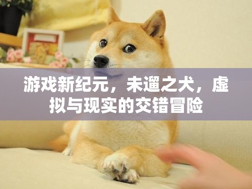 未遛之犬，游戲新紀(jì)元中的虛擬與現(xiàn)實交錯冒險