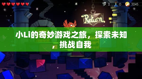 小Li的奇妙冒險(xiǎn)，探索未知，挑戰(zhàn)自我之旅