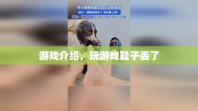 玩游戲竟導致鞋子丟失？揭秘游戲背后的奇妙故事