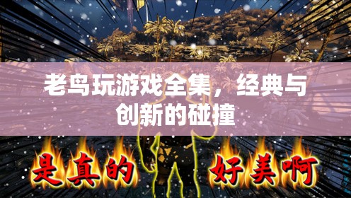 老鳥(niǎo)玩游戲，經(jīng)典與創(chuàng)新碰撞的盛宴  第3張