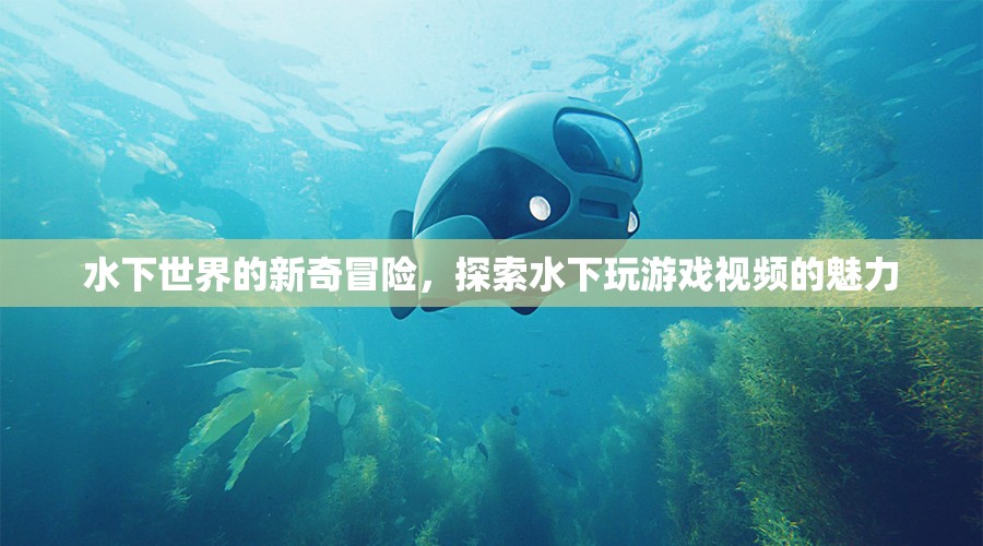 水下世界的新奇冒險，探索水下玩游戲視頻的魅力