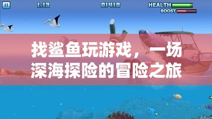 一場與鯊魚共舞的深海探險之旅