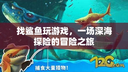 一場與鯊魚共舞的深海探險之旅